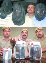 Three men held by the Delhi Police for the muder of Mahesh Kapoor; Policemen display guns seized from them (below) in New Delhi 