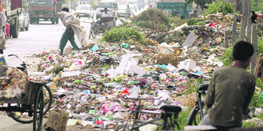 Garbage dumped at Ferozepur road in Ludhiana.
