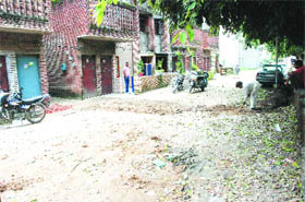 Cracks in the walls and roofs, broken windowpanes and algae-infested floors sum up the sad state of affairs at Police Lines in Jalandhar.