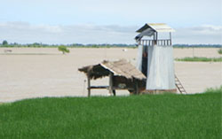 A view of a border outpost (BOP) immersed in the overflowing Sutlej in the Ferozepur sector