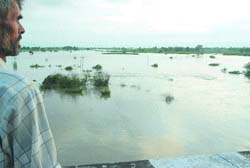 A seasonal rivulet in spate near Chaheru in Phagwara on Wednesday