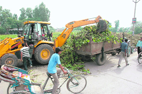Wild plants being removed from a lake in Ambala City.