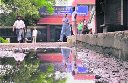 Water accumulated in potholes have become a breeding ground for mosquitoes in and around the Civil Hospital in Ludhiana