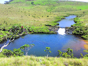 The town is a base for visits to Horton Plains National Park, which has many species of birds and animals.