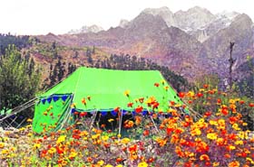 Adventure camp at Sangla