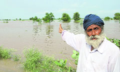 A villager points to his submerged fields at Basti Ramlal village in Ferozepur.