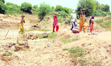 Rural women work on the banks of the Ghaggar under an NREGA project at Panihari village in Sirsa.