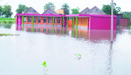 a pool of water surrounds the building of the school