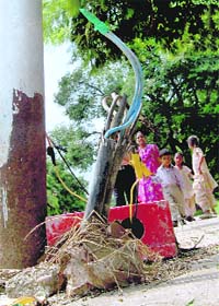 This family seems to be unmindful of the naked wire in Sector 29-C, Chandigarh
