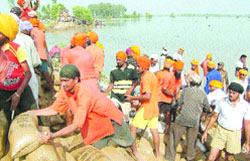 Villagers, volunteers of various NGOs and followers of Baba Seechewal busy plugging a breach at Mundi Kalu village in Jalandhar