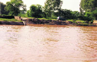 The eroded bank of the Bathinda branch of Sirhind canal near Ahmedgarh.
