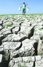 A villager carries water in plastic containers as he walks through a dried up water dam in Lamongan in East Java province on Wednesday. Drought has hit the area for three months forcing villagers to suffer a shortage of clean water.