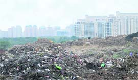 Tonnes of garbage being dumped behind a posh area in Gurgaon.