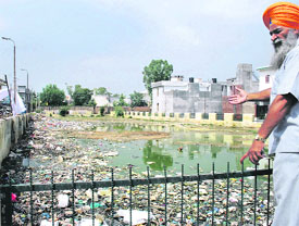 A park in Ludhiana referred to as ‘killer park’ opposite which the victim lived.
