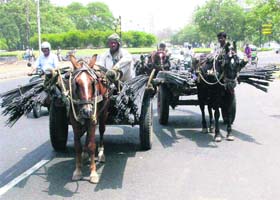 Overloaded rehras, a common sight in Chandigarh, pose a great danger to commuters