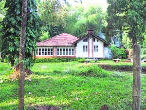The expansion of homestays facilities in Kodagu (Coorg) is due to the falling returns from coffee cultivation, which has nudged many estate owners to promote this trend