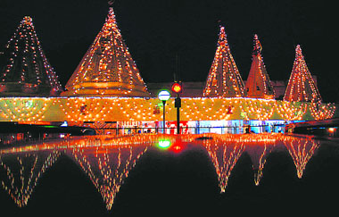A temple in Sector 24, Chandigarh, illumined for Janmashtami on Sunday.