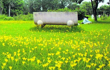 The Kurukshetra University campus garden during the rainy season