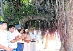 Members of various organisations hold a prayer under one of the 452 trees on a hospital premises, which are to be felled, in Amritsar on Monday.