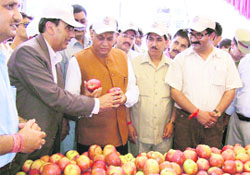 Chief Minister Prem Kumar Dhumal inaugurating the Himachal Apple Festival at Manali on Tuesday.