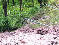 Flashfloods have completely damaged the enclosure of the Renuka Lion Safari, which has made its eight Asiatic lions homeless