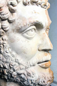 The head of Marcus.