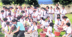 Students of Bal Bharti School plant saplings during a science week