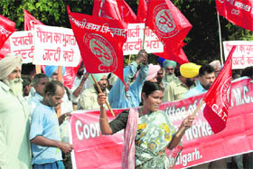 MC employees stage a demonstration in Chandigarh on Thursday.