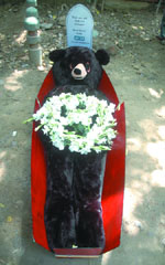 An activist of People for the Ethical Treatment of Animals in a bear's costume plays dead in a coffin during a demonstration against the Central Zoo Authority in New Delhi on Thursday.