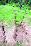 Land in Kiar village which has developed cracks on the Kalka-Shimla rail track