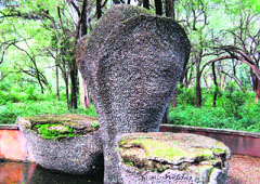The imaginatively planned garden between the magnificent Capital Complex and the Sukhna Lake, which fully blends with the excellent backdrop of the blue Shivaliks, is in a poor condition and the place is stinking due to the negligence of the Chandigarh Administration.