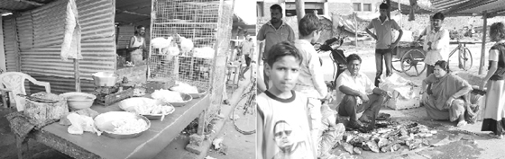 Raw meat being sold in the open at Abhaypur village in Panchkula on Sunday.