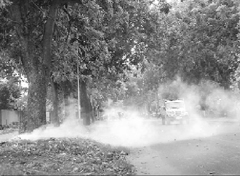 Smoke creates a shield on the road, thus blocking the view of motorists, at Phase-I, Mohali, on Sunday.
