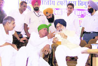 Punjab Chief Minister Parkash Singh Badal and former Haryana Chief Minister Om Prakash Chautala discuss a point during the Tapriwas Vimukt Jati Mukti Diwas in Dabwali on Sunday.