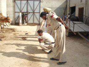 Cops spotting footprints of the killers at Dhingawali village on Tuesday. 