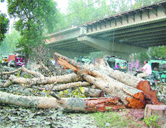 The construction work has practically destroyed green belts in the city.