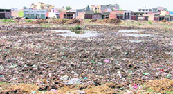 Dumpyard at Dana Mandi in Ludhiana