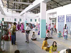 Candidates take entrance test sitting on the floor at the ITI Shamshi centre in Kullu on Sunday.