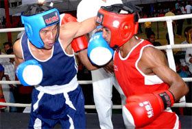 A bout in progress during the 55th Senior National Boxing Championship at Sports Stadium in Bathinda.