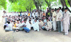 Farmers stage a dharna against erratic power supply outside the DHBVN sub-centre in Asakhera, Sirsa,
