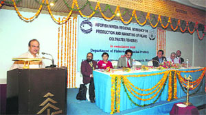 A speaker at the Infofish regional workshop on production and marketing of coldwater fish species at Manali on Monday.
