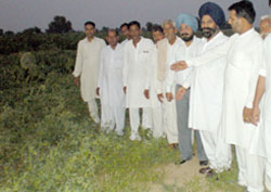 Balluana MLA Gurtej Singh and Revenue department officials visiting fields which were hit by hailstorm