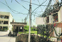 Kundi connections at Universal Society in Sector 48, Chandigarh.