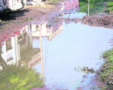 Stagnant water at Dhandari Khurd in Payal subdivision near Mandi Ahmedgarh.