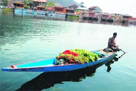 A vendor ferries flowers in Srinagars Dal Lake on Wednesday
