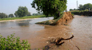 (Left) Canal water flooding fields following breach in Dabwali-Jodhpur minor at village Jhutti Ke Patti in Bathinda district on Saturday