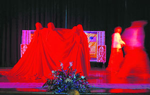 Artistes present an item during a progamme organised by the National Integrated Forum of Artists and Activists in Karnal on Saturday. 