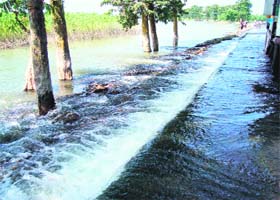 Jankinagar area in Purnia under floodwater
