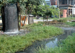 The residents of low-lying areas on the Bhanoki road and Bhagatpura have to bear the stench everyday.