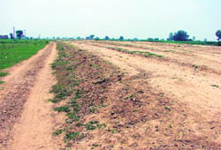 Work in progress on the Kundli-Manesar-Palwal expressway.